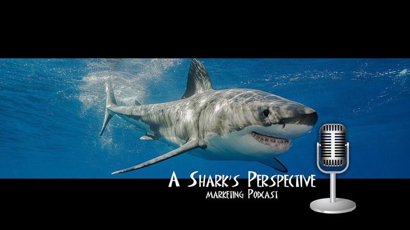 a-sharks-perspective-podcast
